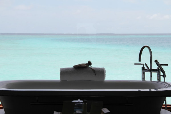 马尔代夫景点图片