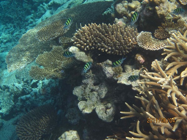 马尔代夫景点图片