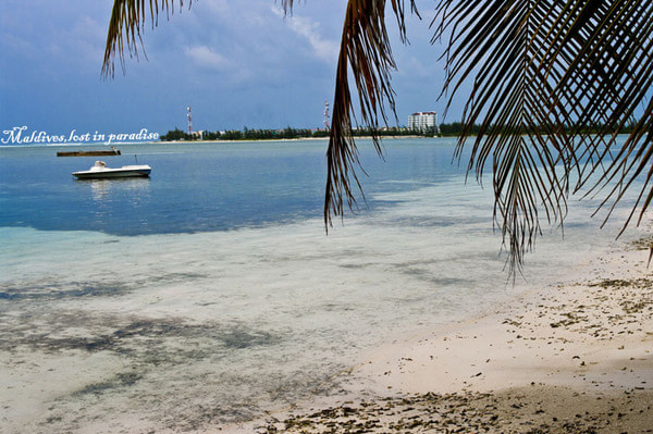 马尔代夫自助游图片
