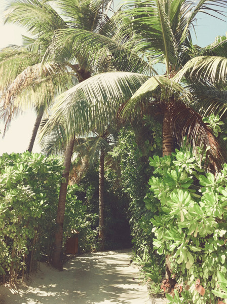 马尔代夫自助游图片