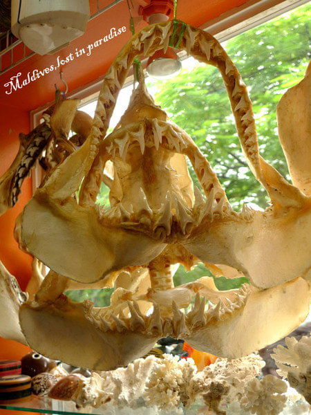 马尔代夫旅游攻略图片