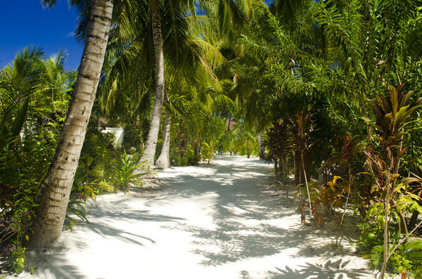 马尔代夫旅游攻略图片 马尔代夫旅游攻略图片