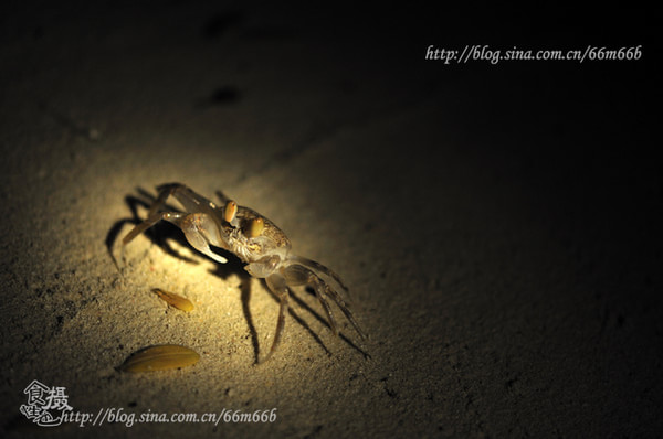 马尔代夫自助游图片 马尔代夫自助游图片