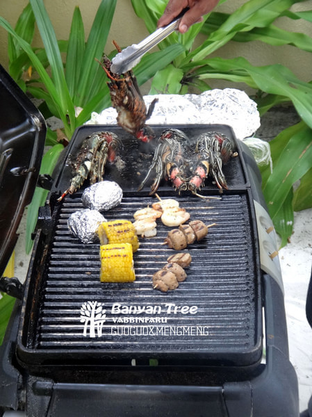 马尔代夫旅游攻略图片 马尔代夫旅游攻略图片