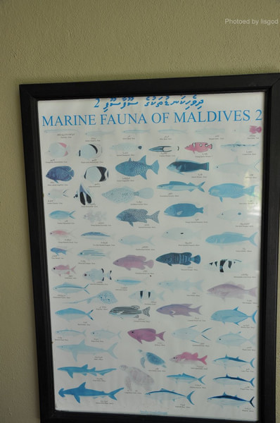 马尔代夫景点图片 马尔代夫景点图片