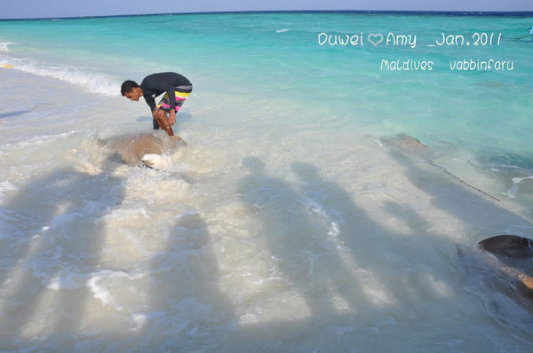 马尔代夫自助游图片