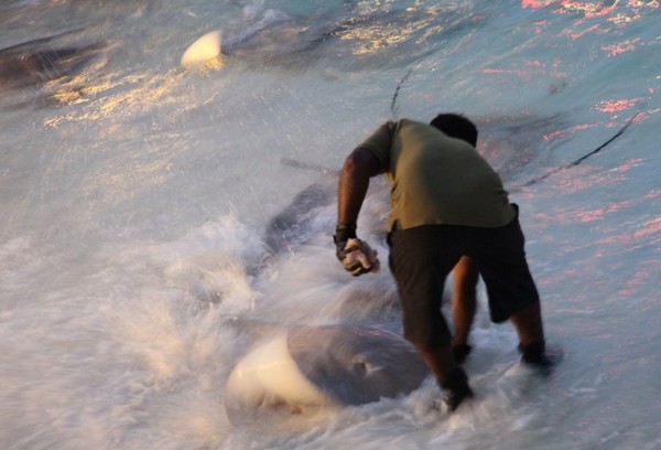 马尔代夫景点图片