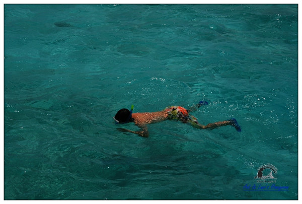 马尔代夫自助游图片