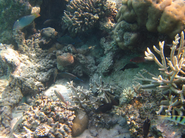 马尔代夫旅游攻略图片 马尔代夫旅游攻略图片