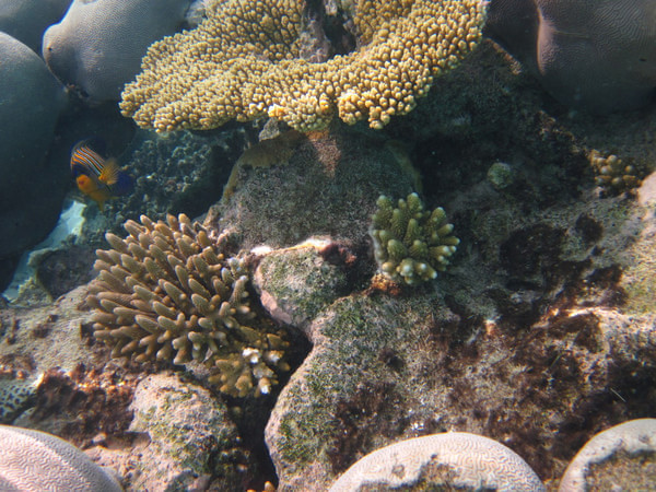 马尔代夫图片 马尔代夫图片