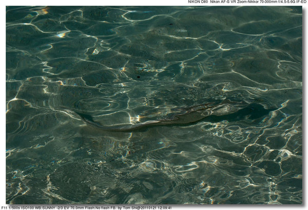 马尔代夫旅游攻略图片