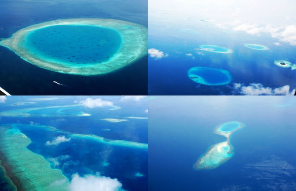 马尔代夫自助游图片