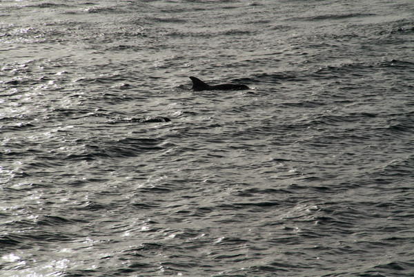 马尔代夫景点图片