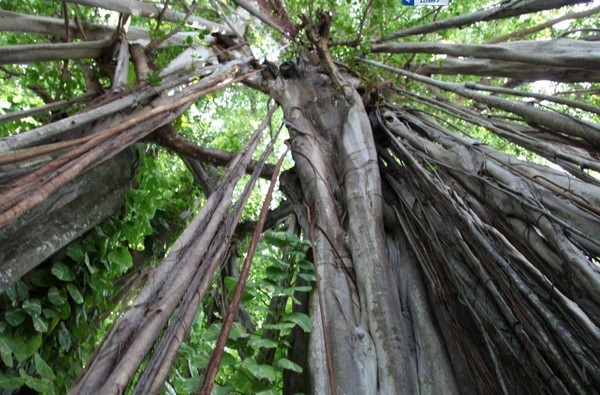 马尔代夫旅游攻略图片