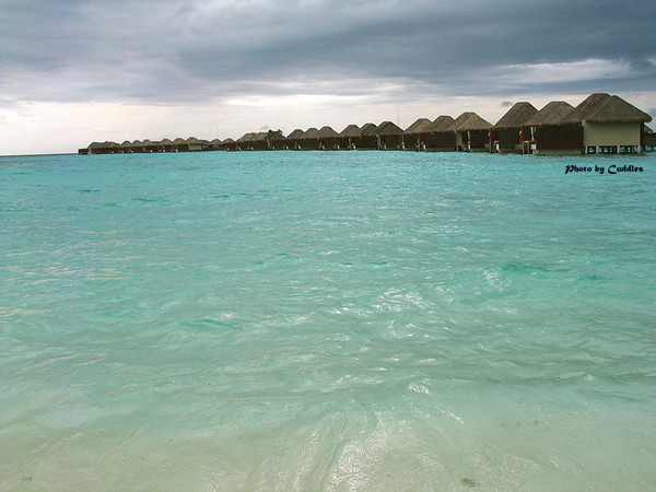 马尔代夫图片