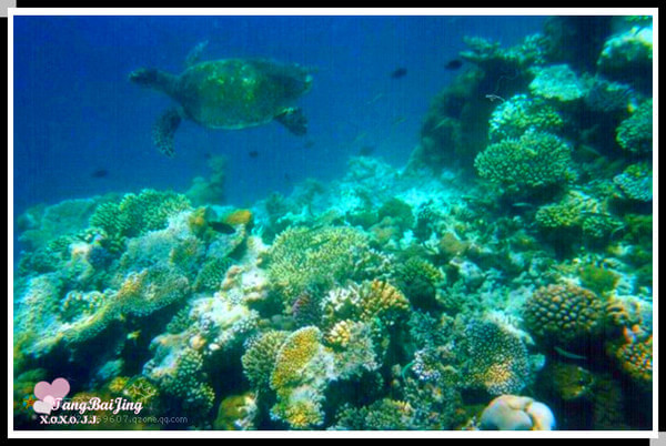 马尔代夫景点图片