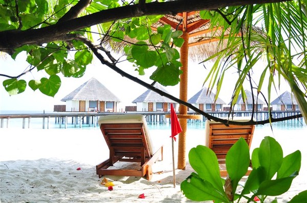 马尔代夫自助游图片