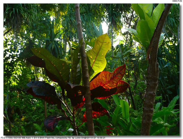 马尔代夫景点图片