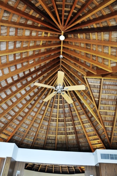 马尔代夫旅游攻略图片