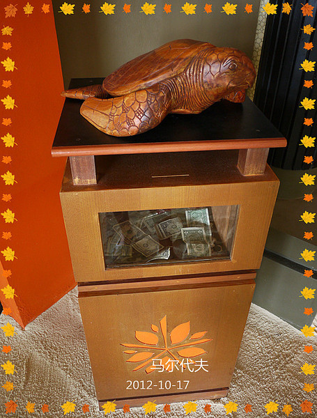 薇拉瓦鲁岛景点图片