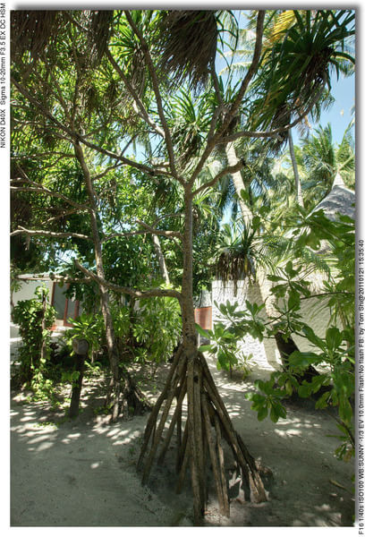 马尔代夫自助游图片