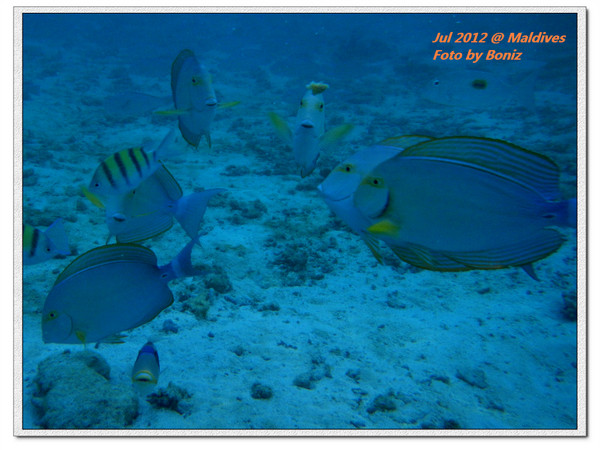 卡努呼拉岛景点图片 卡努呼拉岛景点图片