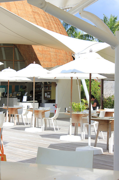 马尔代夫自助游图片