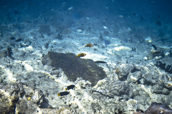 马尔代夫图片 马尔代夫图片