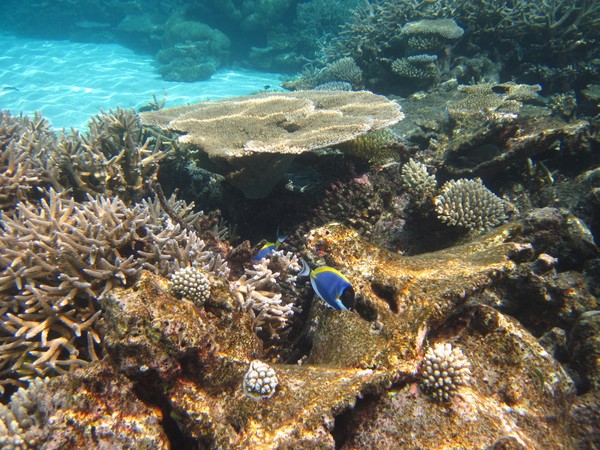 马尔代夫旅游攻略图片 马尔代夫旅游攻略图片