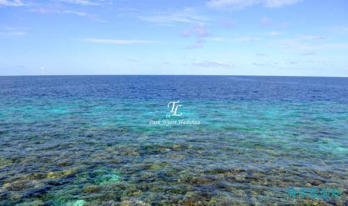 Park Hyatt Hadahaa & 自驾沙漠皇宫！马代到沙漠全体验！,马尔代夫游记，海岸线假期