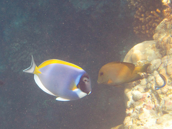 马尔代夫景点图片 马尔代夫景点图片