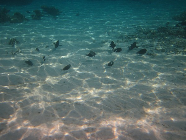 马尔代夫自助游图片 马尔代夫自助游图片