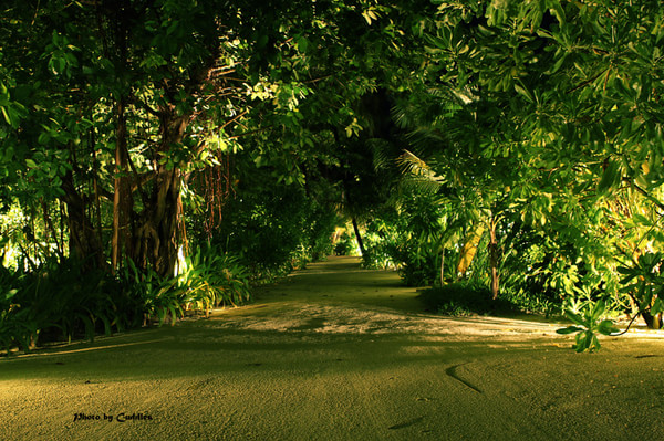 马尔代夫自助游图片