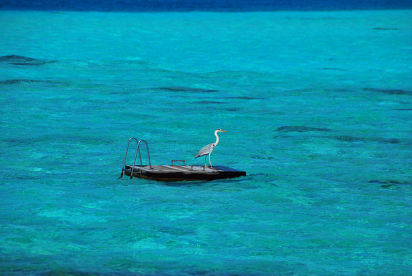 马尔代夫旅游攻略图片