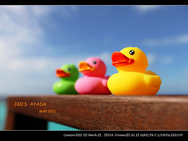 马尔代夫自助游图片