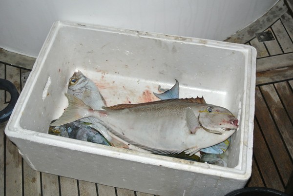 马尔代夫旅游攻略图片