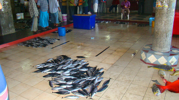 马尔代夫旅游攻略图片