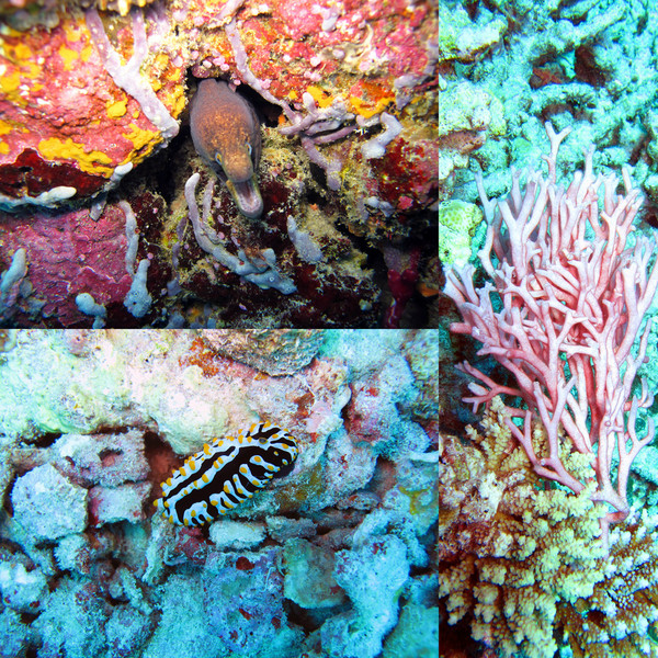 马尔代夫旅游攻略图片