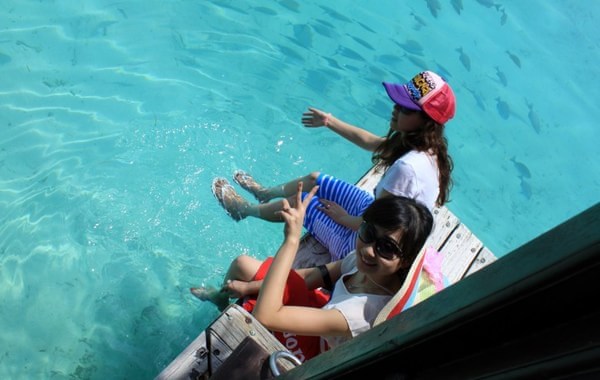 马尔代夫自助游图片