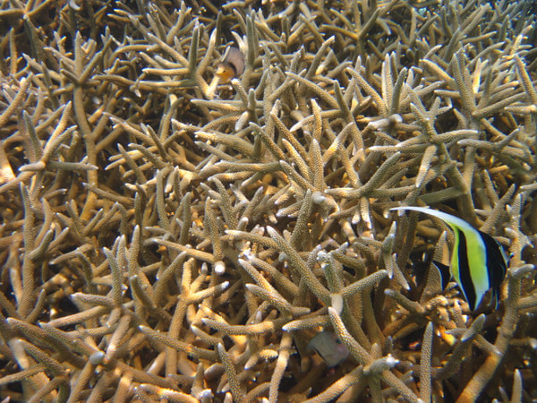 马尔代夫图片 马尔代夫图片