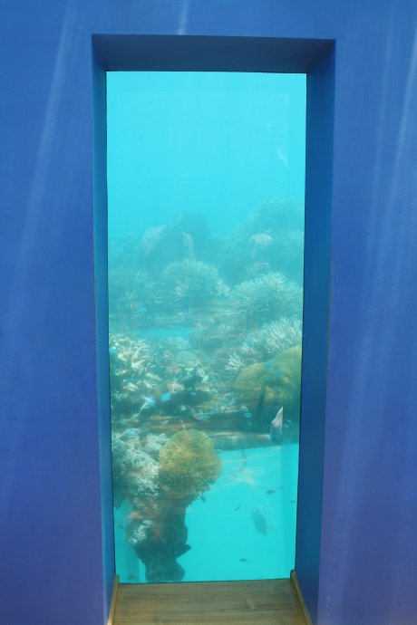 马尔代夫游记（三）梦幻海底餐厅