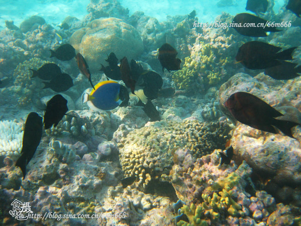 马尔代夫景点图片