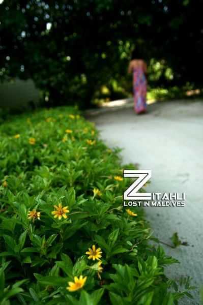 马尔代夫景点图片