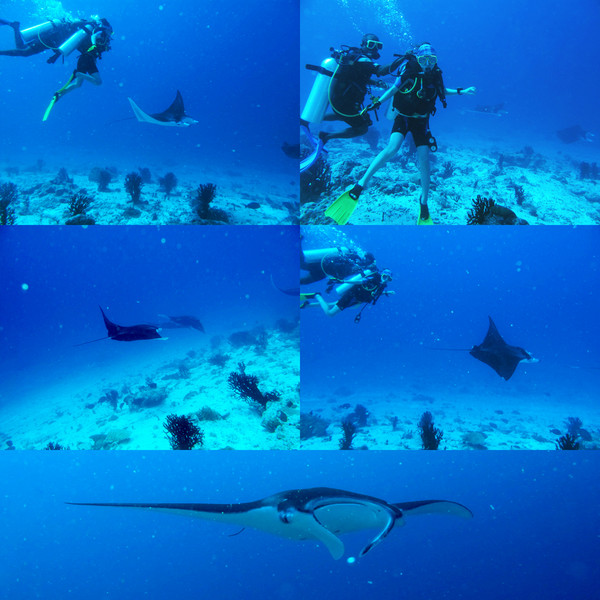 马尔代夫景点图片