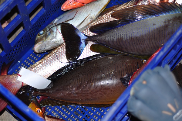 虽然大家都晕船，收获还是可观滴~