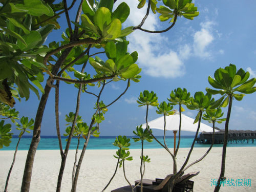 马尔代夫——带着傻瓜机的一场关于玛娜法鲁蜜月剧情,马尔代夫游记，海岸线假期