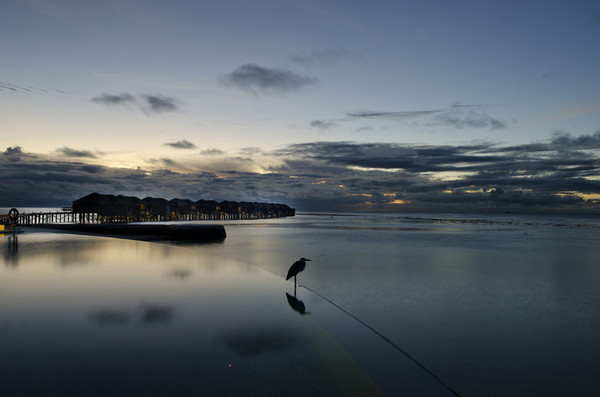 马尔代夫景点图片