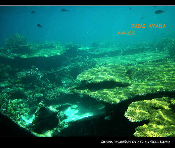 马尔代夫自助游图片