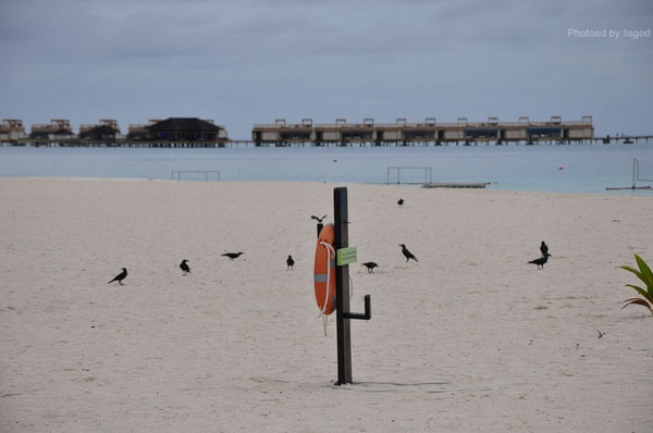 马尔代夫旅游攻略图片 马尔代夫旅游攻略图片