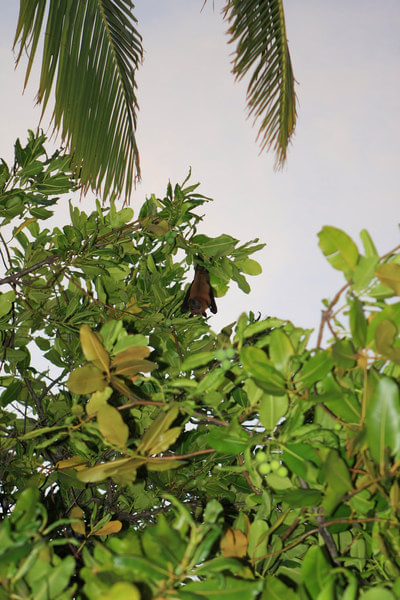 马尔代夫自助游图片 马尔代夫自助游图片